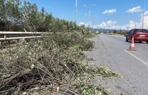 Εργασίες κοπής πρασίνου επί των Εθνικών Οδών Θεσσαλονίκης-Νέων Μουδανιών και Θεσσαλονίκης-Αρναίας από την Περιφέρεια Κεντρικής Μακεδονίας