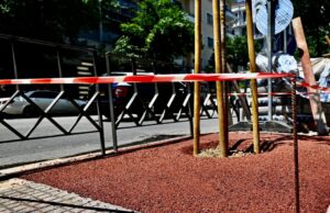 Νέες δενδροδόχοι στον άξονα της Τσιμισκή