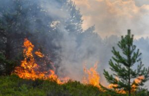 Εστίες πυρκαγιών σε διάφορες περιοχές της χώρας – Ο χάρτης πρόβλεψης κινδύνου πυρκαγιάς για τη Δευτέρα 10/07/23