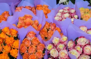 Ποιοι γιορτάζουν σήμερα 13 Οκτωβρίου