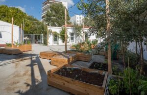 Στην κρίση του νέου Δημοτικού Συμβουλίου το έργο ανάπλασης των Στάβλων Παπάφη και η σύμβαση για την ελεγχόμενη στάθμευση